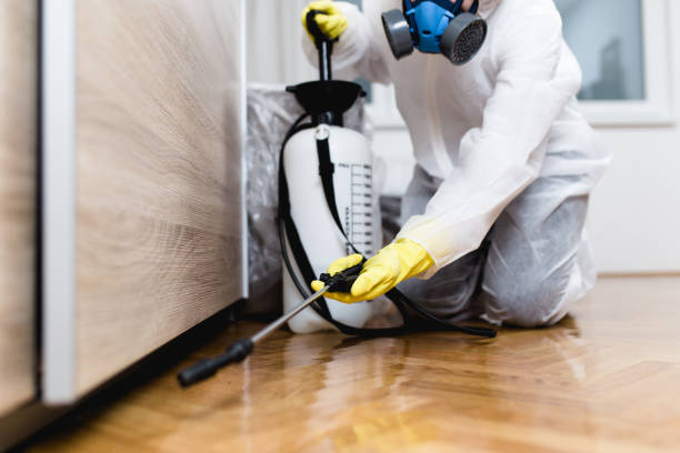 Best Affordable Pest Control Services  in Kapn, LA