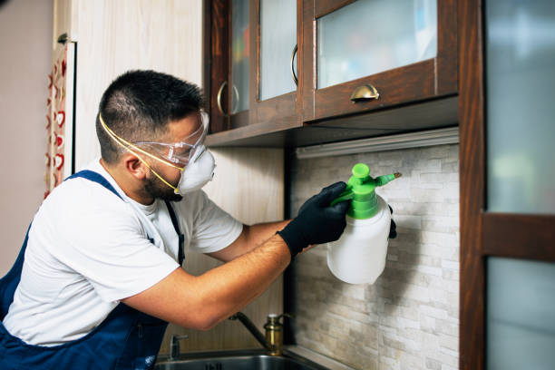Reliable Kaplan, LA Pest Control Solutions
