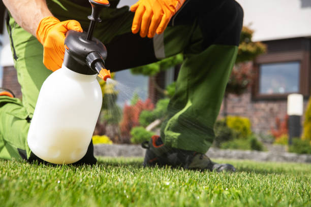 Best Pest Prevention Services  in Kapn, LA