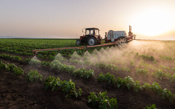Best Commercial Pest Control Services  in Kapn, LA