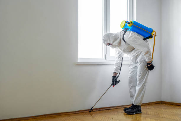 Best Rat Extermination Near Me  in Kapn, LA