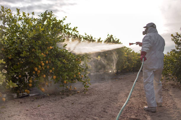 Best Best Pest Control Companies  in Kapn, LA