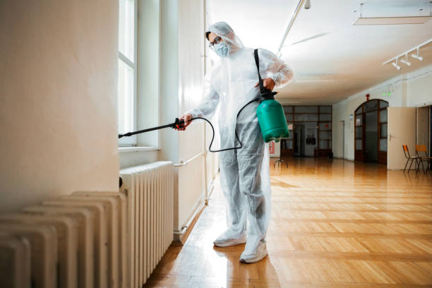 Best Mosquito Control Services  in Kapn, LA