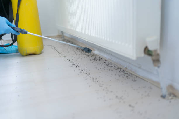 Best Commercial Pest Control Services  in Kapn, LA