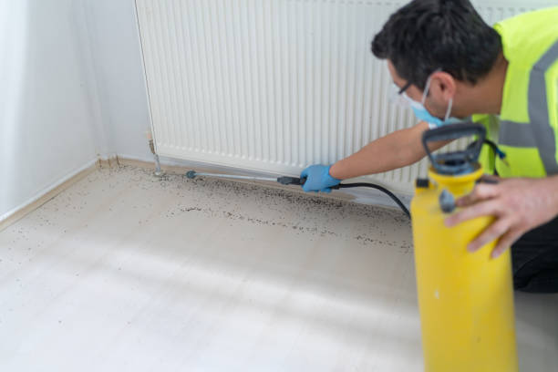 Best Pest Control Cost  in Kapn, LA