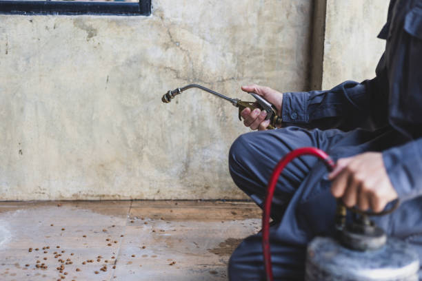 Best Pest Control for Restaurants  in Kapn, LA